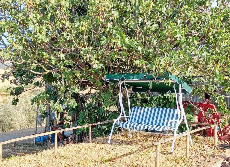 Camera privata Cinigiano