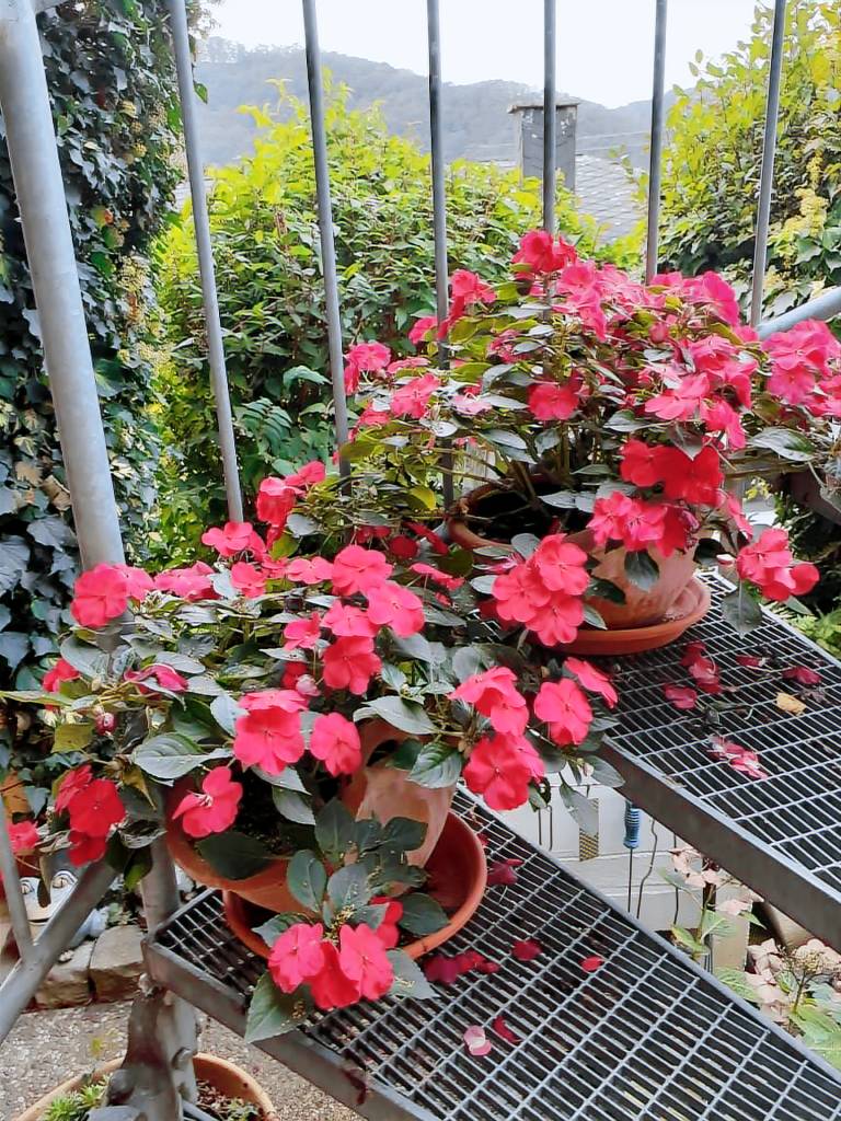 foto3