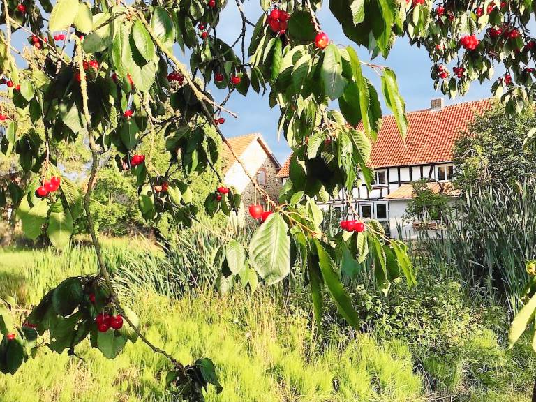 Ferienwohnung Frielendorf