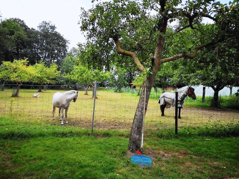 Ferienwohnung Dülmen