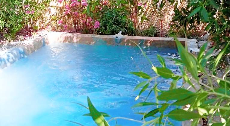 Siwa Gardenia Cottage — photo 5