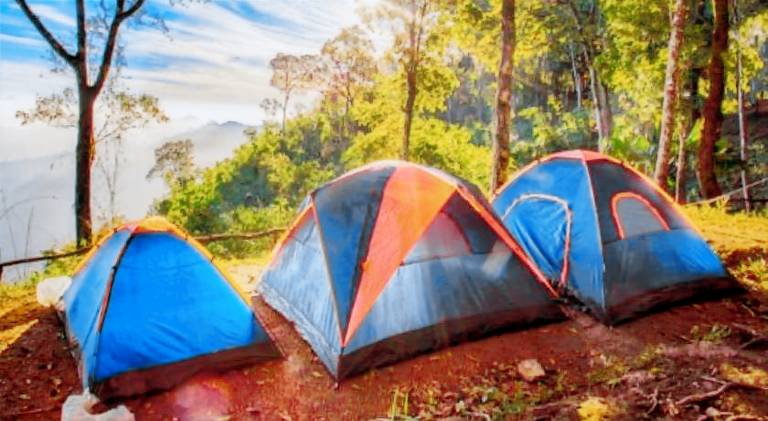EcoCamp TV Crista Web — photo 3