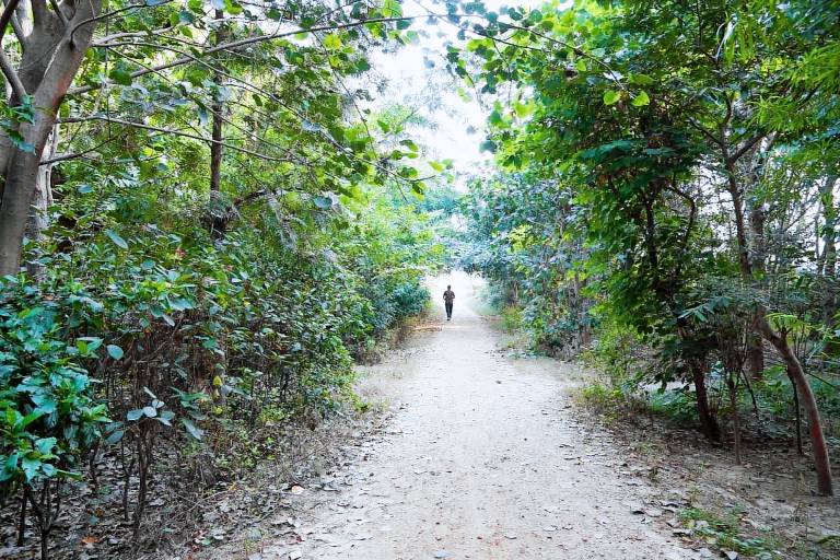 Hotel O 65547 Hotel The Geetika Palace