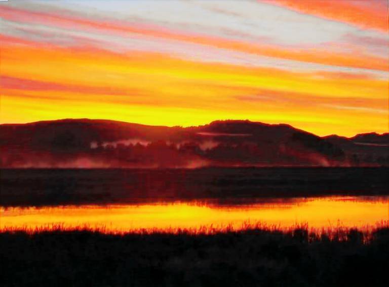 Cottage  Point Reyes Station