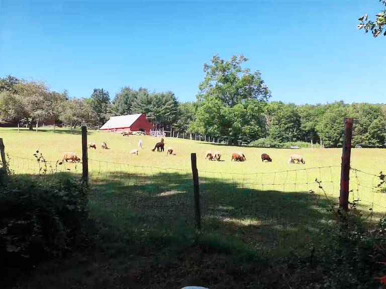 Farmhouse Glastonbury