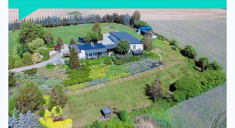 Apartament  Rypin