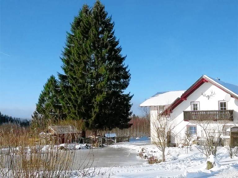 Ferienwohnung Haidmühle