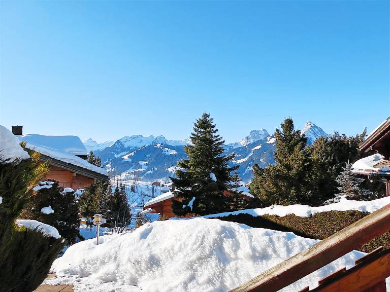 Holiday apartment with yard — photo 3