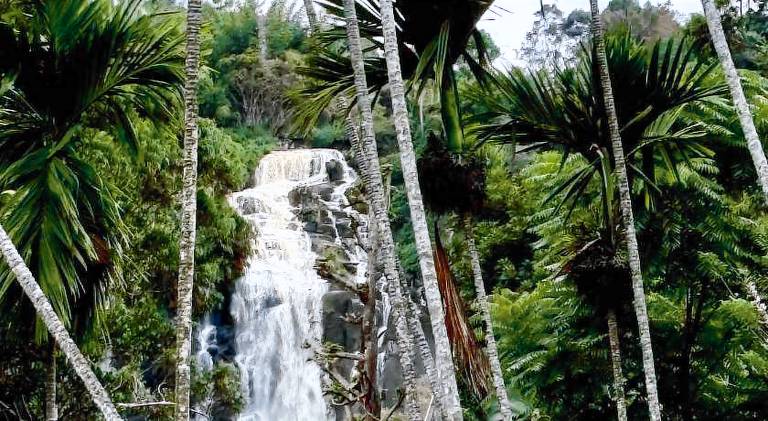 Cozy Homestay Waterfall Road Ella in Ella