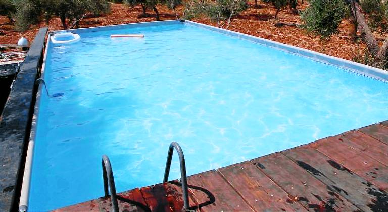 House with pool | Pets are welcome — photo 5