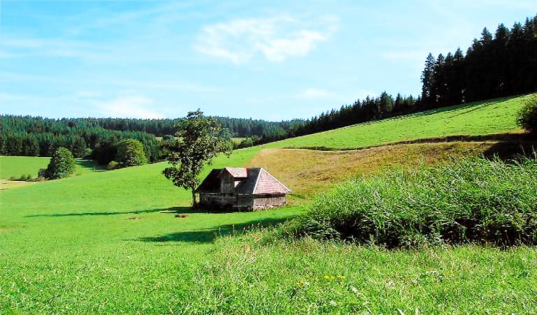 80 m² Ferienwohnung