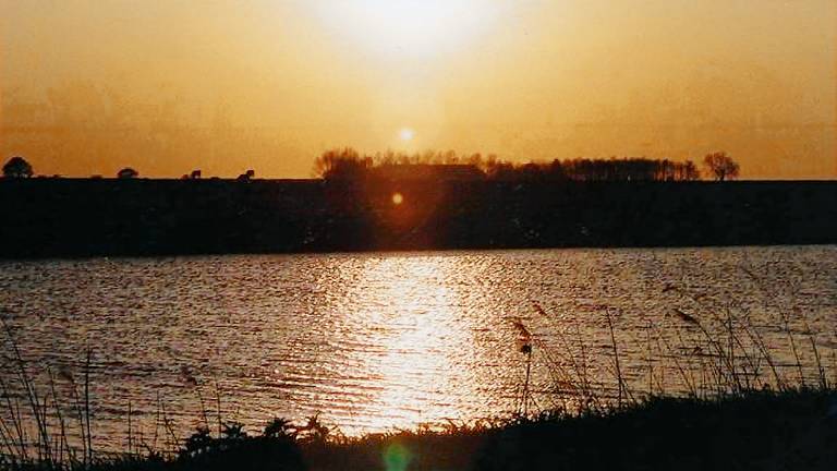 foto1