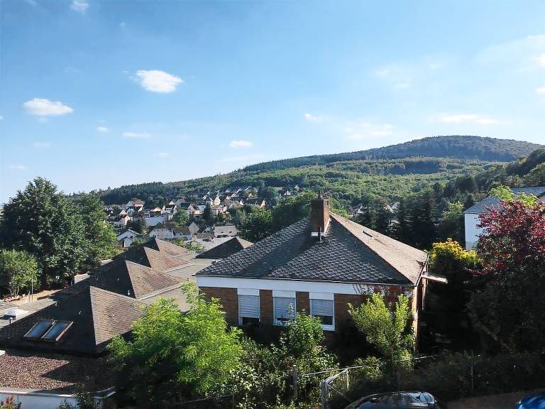 Ferienwohnung Plaidt