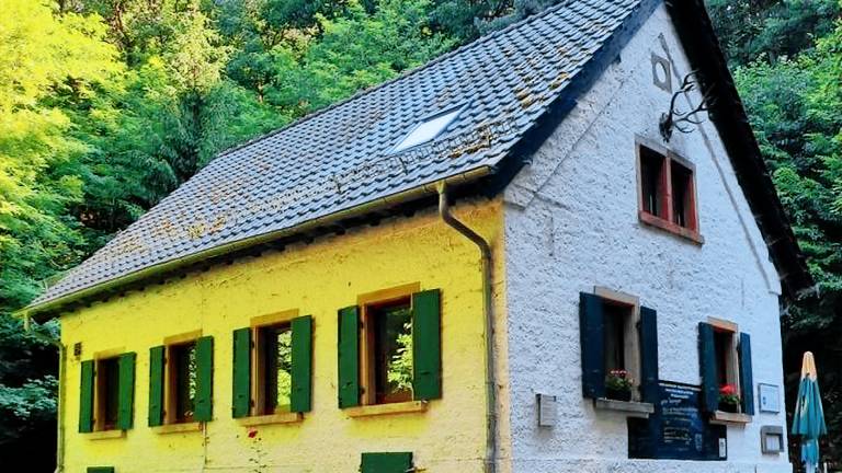 Ferienwohnung  Deidesheim