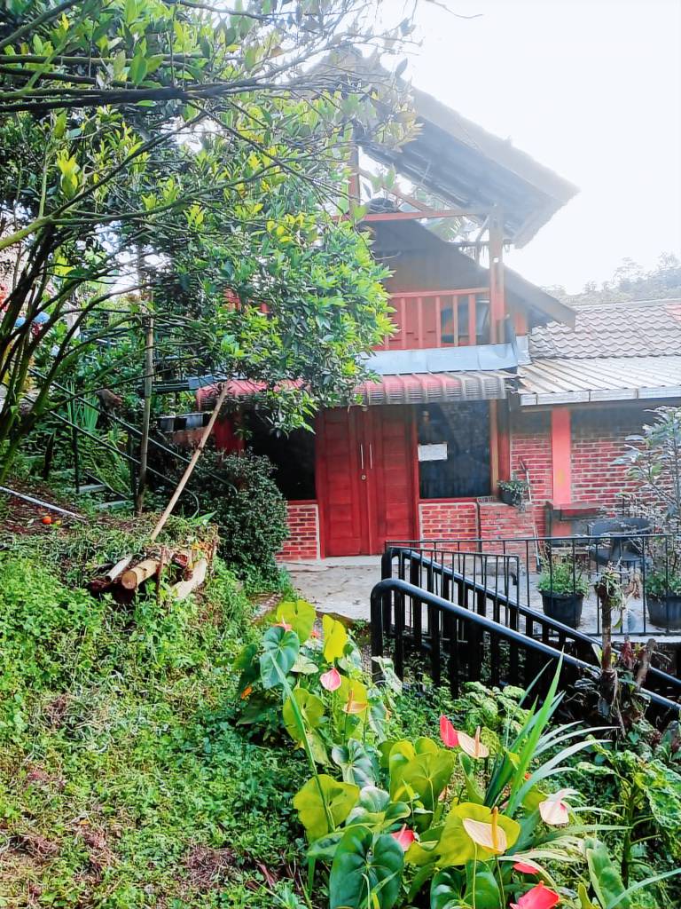 Gintribu Guest House Sibayak