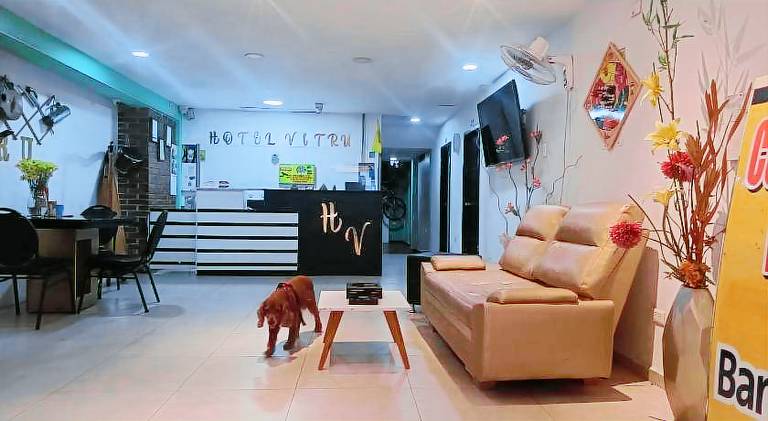 HOTEL VITRU — photo 3