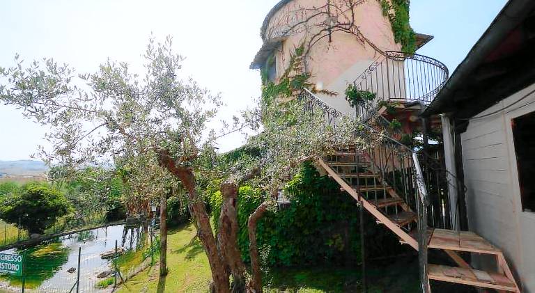 Wonderful farm with yard | Dogs allowed — photo 3