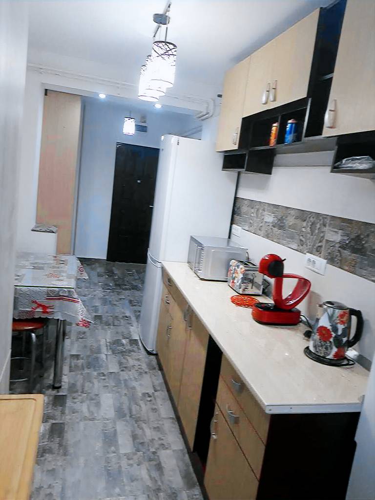 Apartment Brazda lui Novac