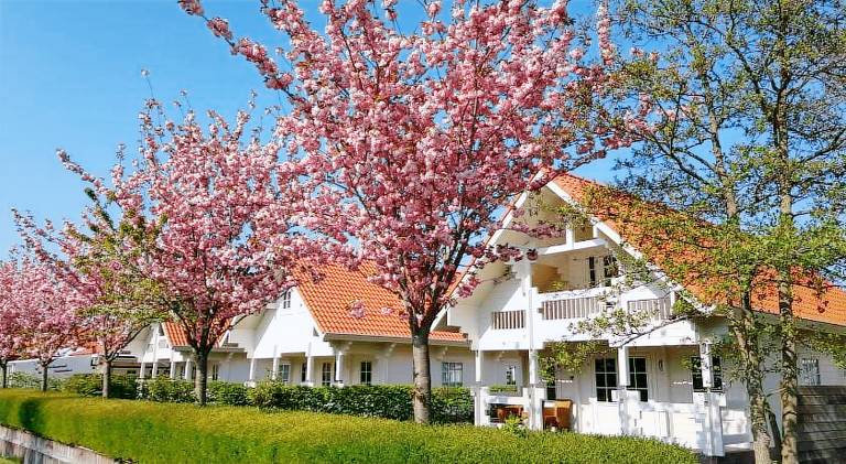 Village vacances Oostkapelle