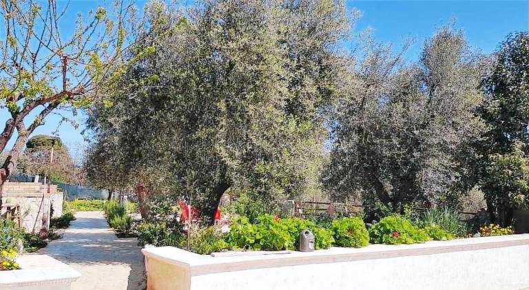 Wonderful rental apartment | Pets are welcome — photo 4