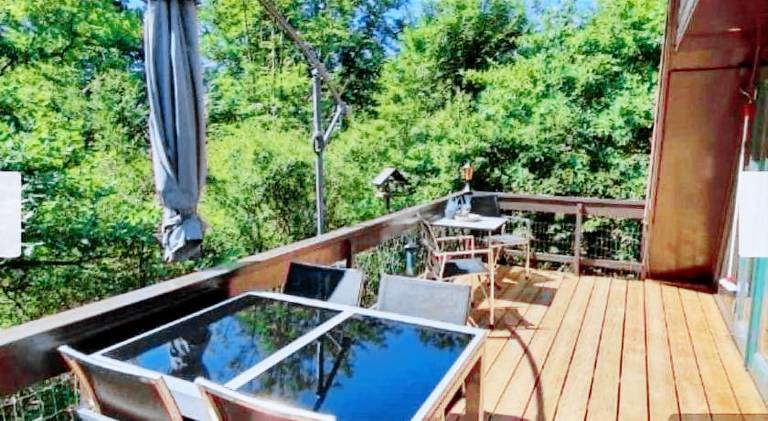 House with pool | Dogs allowed — photo 4