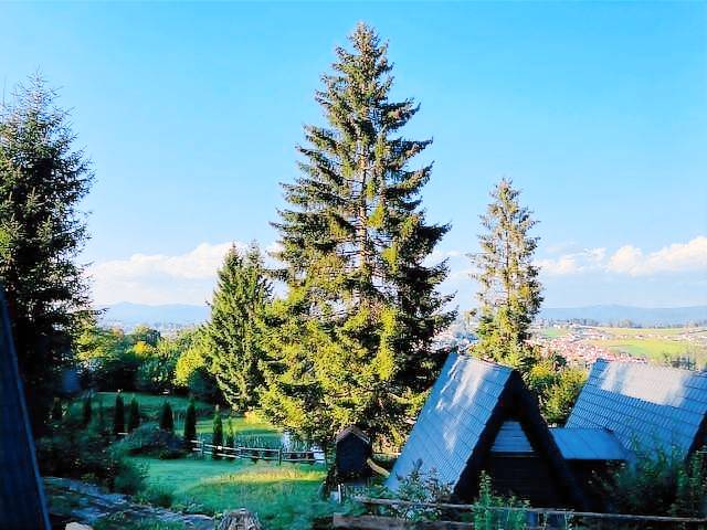 Ferienhaus Hütte 19