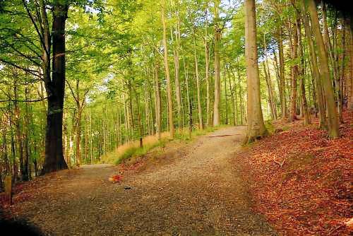 Camping Vejle