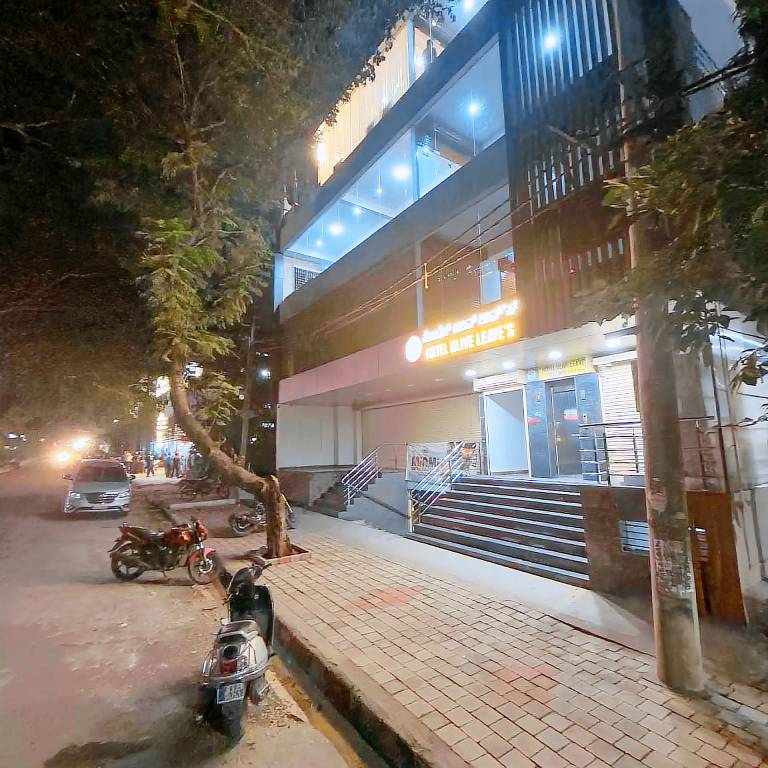 Hotel Olive Leave s