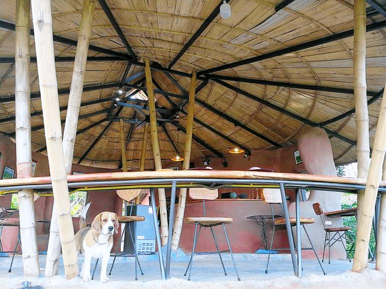 ClayCraft Coffee Gallery Homestay — photo 4