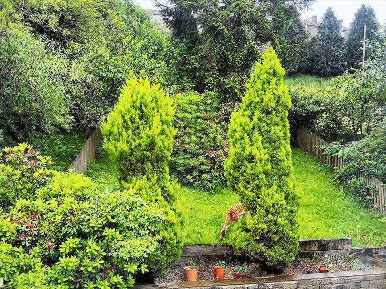 House Haworth