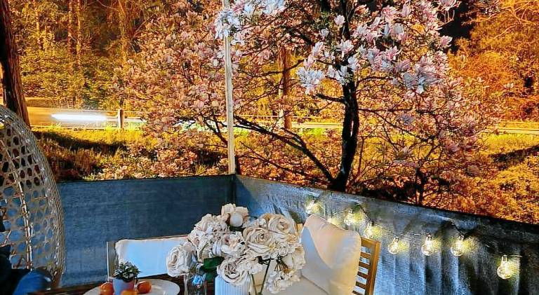 Rental apartment with yard & terrace | Pets are welcome — photo 3