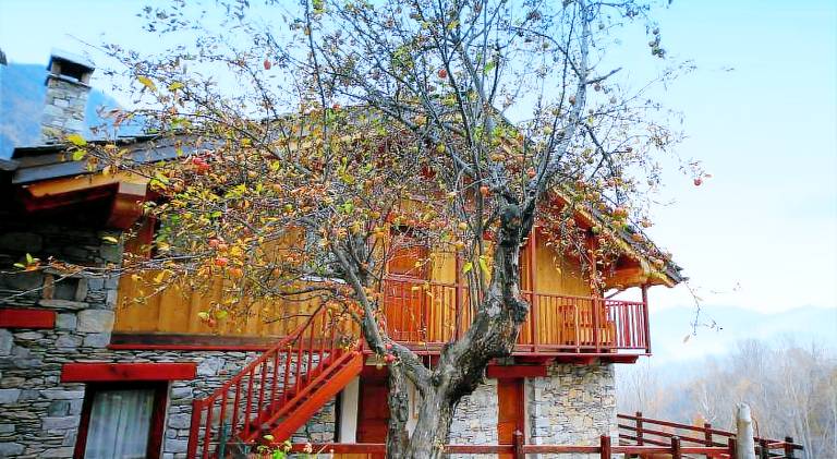 Eco Chalet Maison Dominique — photo 2