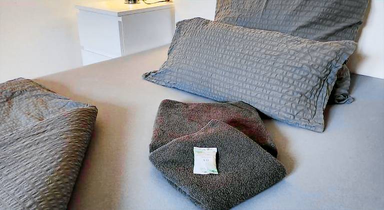 Holiday apartment | Pets are welcome in Bielefeld