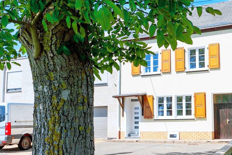 House  Pfalzel