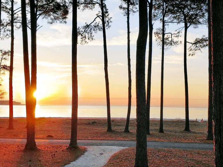 Cabin  Daufuskie Island