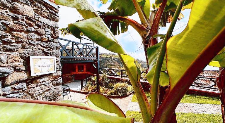 House with grill, garden & terrace in Calheta