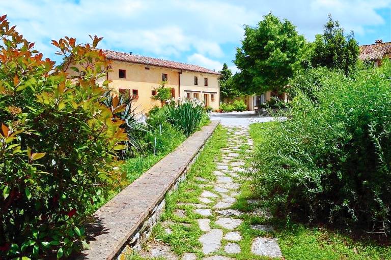 Collina dei Fagiani: Appartamento L'uliveto — photo 3