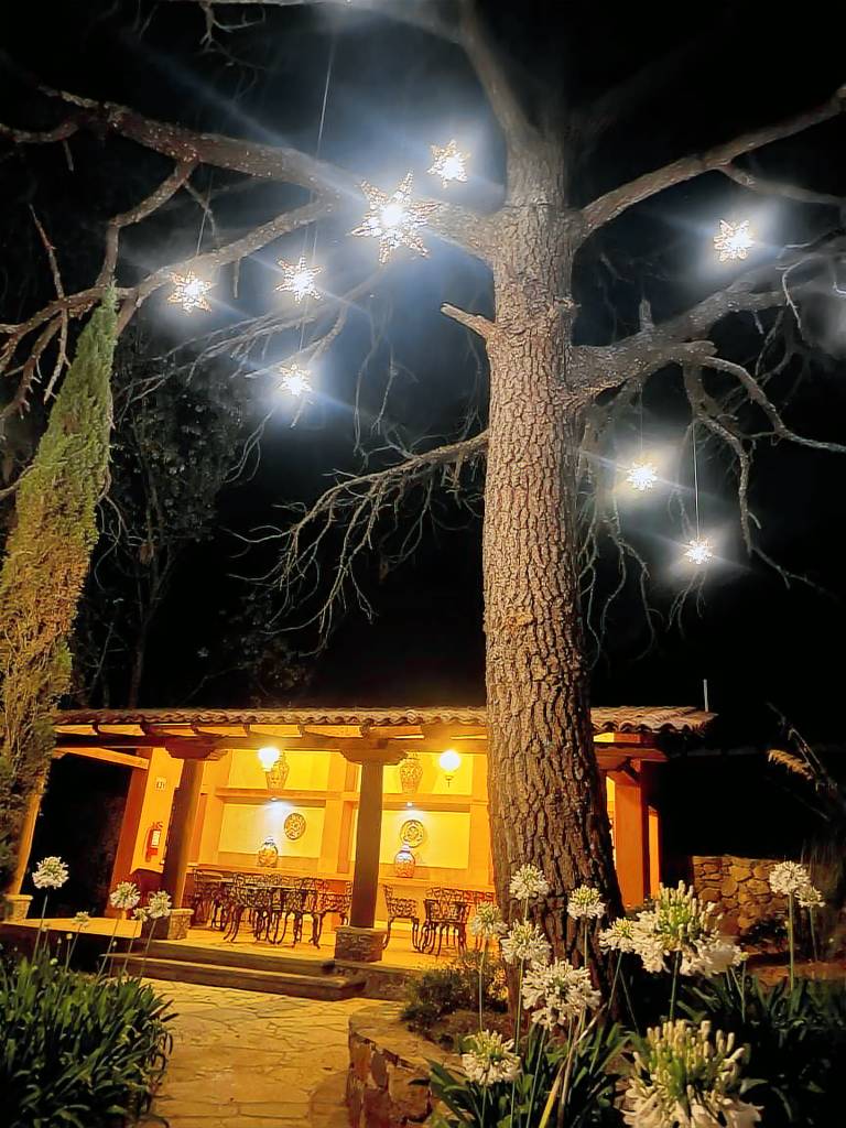 Cabin  Mirtos