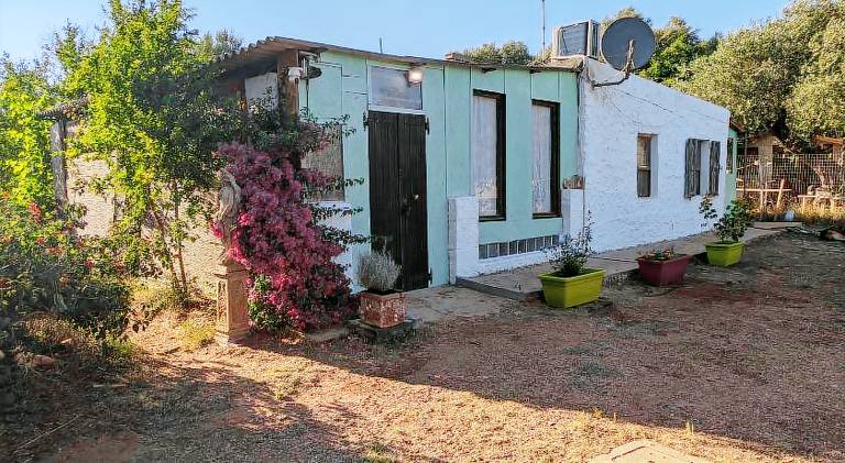 House | Pets are welcome — photo 4