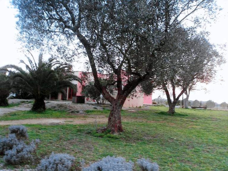 Bed & Breakfast San Cesario di Lecce