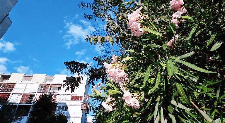 Apartment with 3 rooms for 6 persons in Split