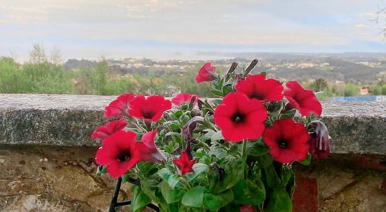 Vacation home with terrace, barbeque & garden — photo 4
