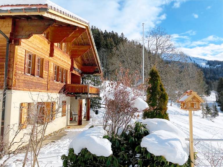 Ferienhaus Hasliberg