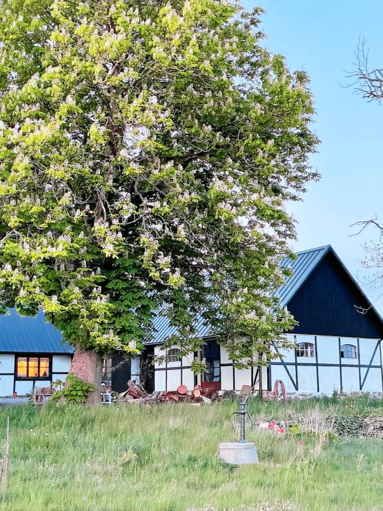 Ferienhaus in Skåne-Tranås für max. 6 Personen Ferienhaus in Skåne-Tranås für max. 6 Personen
