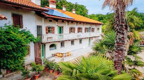 Apartma  Plave