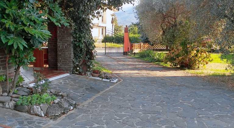 Ample house | Dogs allowed — photo 4