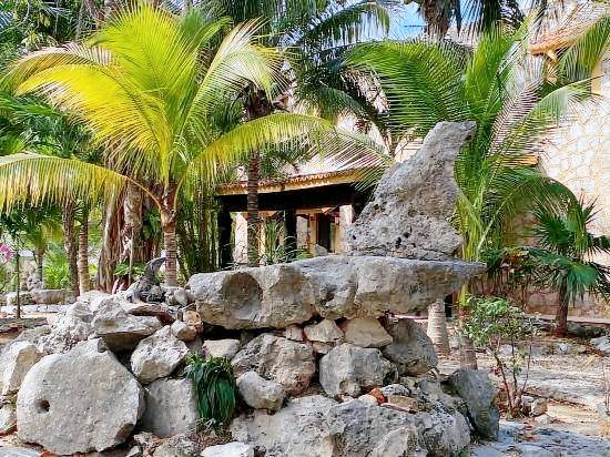 Villa Tortugas — photo 5