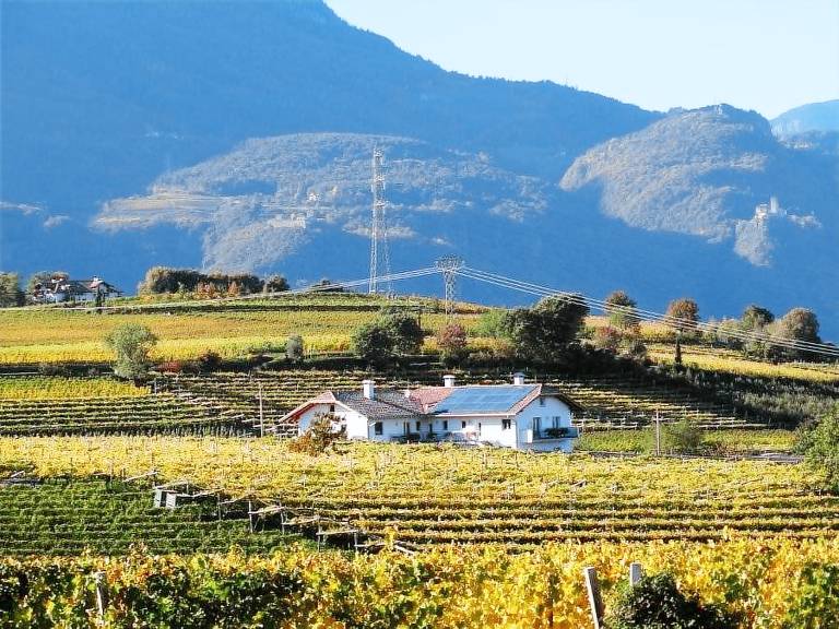 Pokój Bolzano