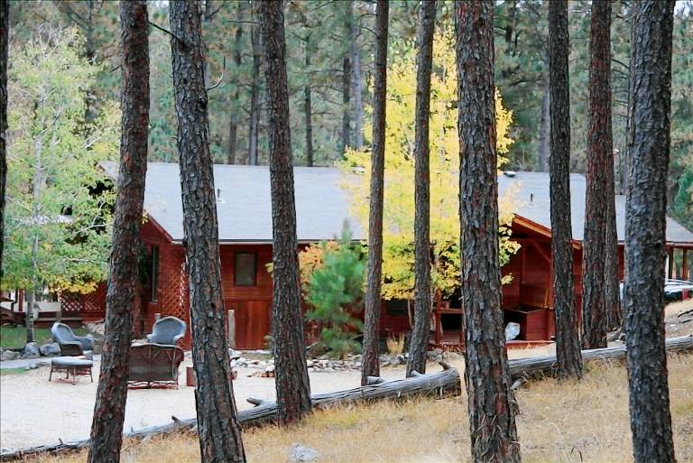 Cabin Custer