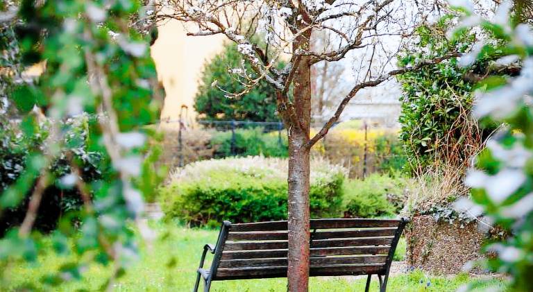 Nice holiday apartment | Dogs allowed in Kehl